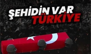 ŞEHİDİMİZ VAR TÜRKİYEM